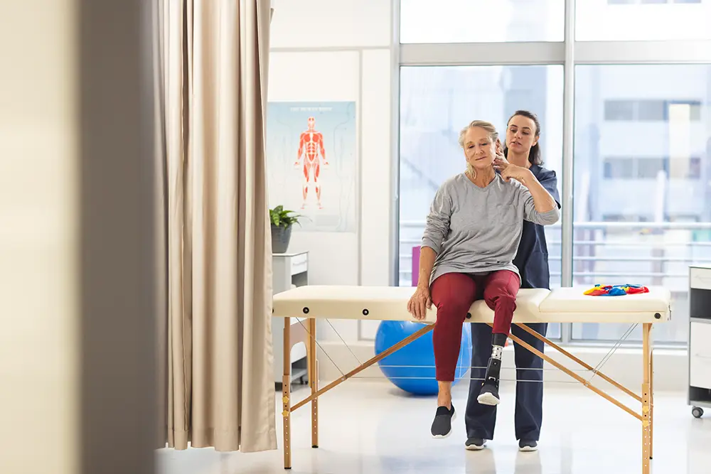 physical therapist's job description